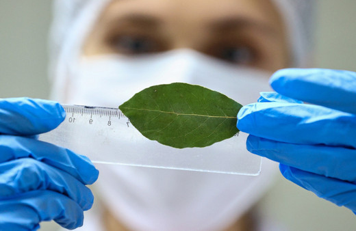 Türkiye'nin baharat ihracatı 200 milyon doları aştı