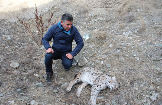 Erzurum'da bunu yapan insan olamaz! Nesli tükenmek üzereydi