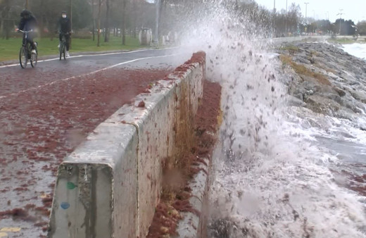 İstanbul'dan şaşırtan görüntü! Sahil kırmızıya büründü gören hayrete düştü