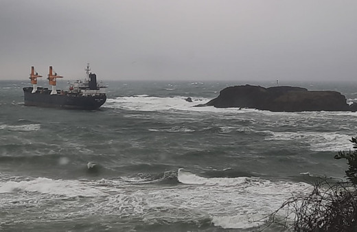 Panama bandıralı kargo gemisi İstanbul Beykoz açıklarında karaya oturdu