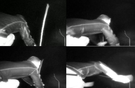 Elazığ'da 17 bin TL harcayıp yakaladı! Gece bahçeye gelip ağaçları...