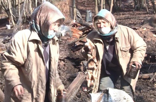 Beykoz'da yaşlı kadının feryadı yürekleri dağladı: Anayım ben ana