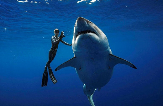 Böyle çılgınlık görülmedi! Ölüm makinesi ile birlikte yüzdüler!