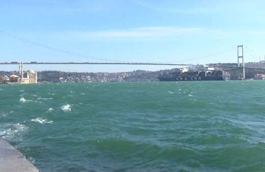 İstanbul Boğazı'nda şaşırtan görüntü ilk defa kış ayında görüldü