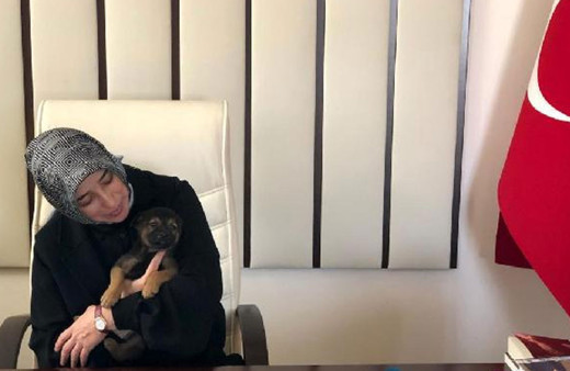 AK Parti Grup Başkanvekili Özlem Zengin: Hayvan hakları yasası 2 hafta içinde Meclis'te