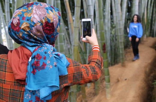 Dedesi 25 yıl önce Artvin'e getirdi! Gören fotoğraf çekiliyor günde 300 insan geliyor