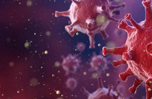 Doç. Dr. Ümit Savaşçı'dan 'mutasyon' uyarısı: Aşıyı etkiliyor