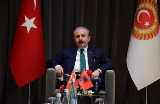 Meclis Başkanı Şentop: Dost ve kardeş ülkeleri FETÖ konusunda uyarıyoruz