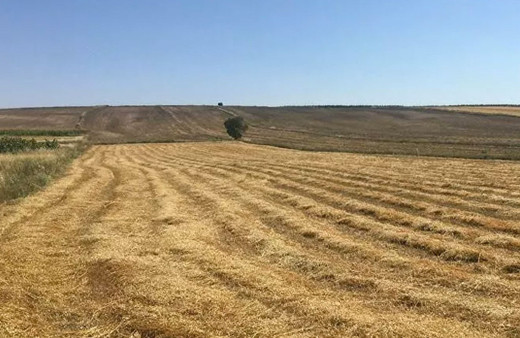 Ödenmeyen krediler patladı binlerce gayrimenkul bankaların eline geçti