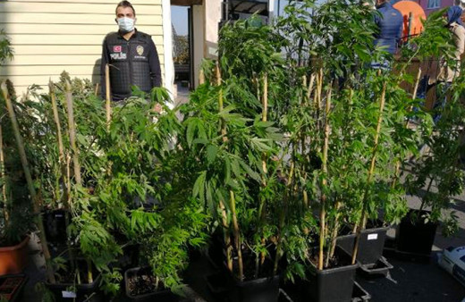 Sarıyer'de lüks daireleri uyuşturucu serasına çevirmişler!