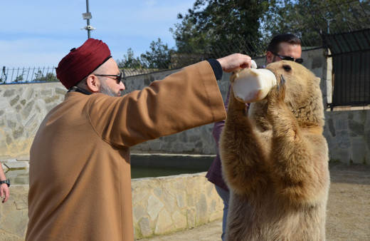 Cübbeli Ahmet Hoca'yı hiç böyle görmemiştik! Boz ayıyı elleriyle besledi