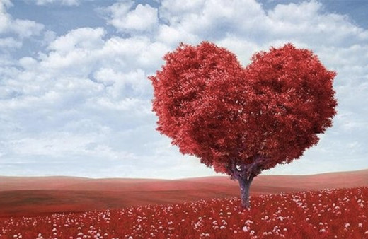 14 Şubat sevgiliye mektup ne yazılır kısa sevgililer günü mektubu