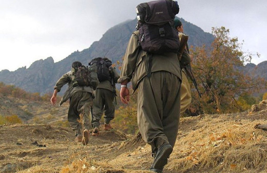 Teslim olan PKK'lı ifade verdi: Örgüte katılım yok denecek kadar az
