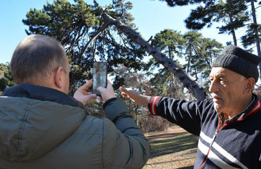 Tokat'ta evliya rüyalarına girip korkuttu! Türbedeki ormana kimse dokunamıyor