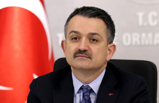 Bakan Pakdemirli'den zehirlenme açıklaması! Ispanaklara el konuldu