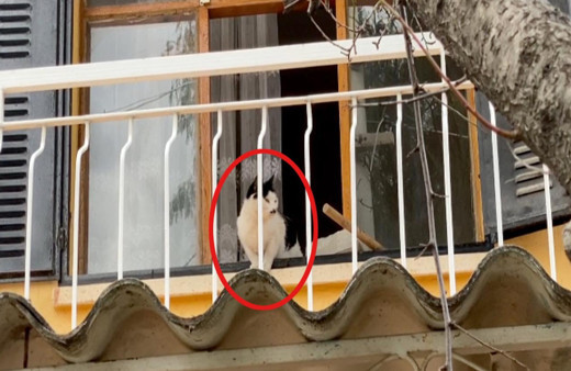 Aydın'da yan evden gelen sesi duyunca ekipleri harekete geçirdi