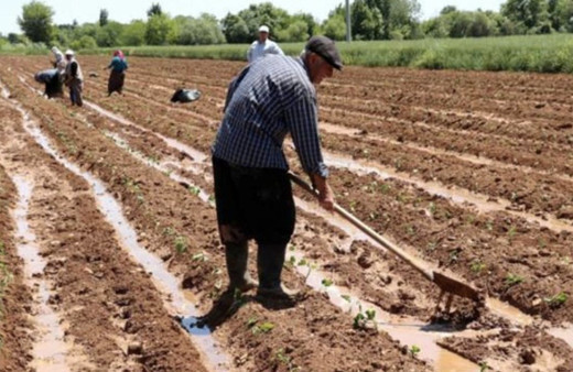 Gübre desteği ne zaman ödenecek 2021 ödeme tarihleri