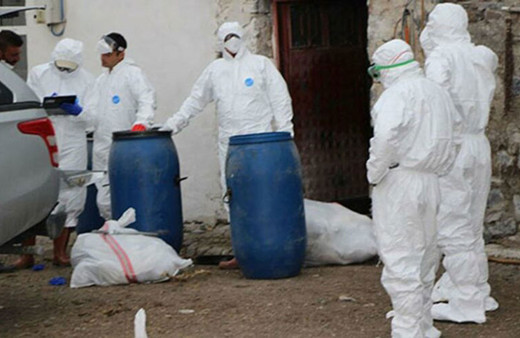 Kuş gribinin ilk kez insanlara bulaşan türü görüldü! Korkutan gelişme DSÖ’ye bildirildi