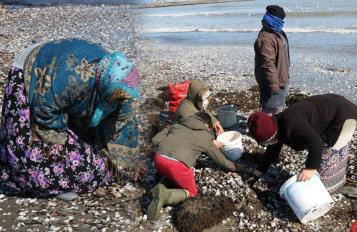 5 yıl sonra bir ilk! Samsun'da herkes iğreniyordu toplayıp paraya para demiyorlar