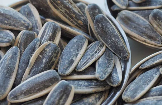 Kayseri'de yaşandı! Çekirdek alma tartışmasında birbirini darp eden karı kocaya para cezası