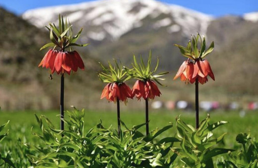 2. cemre nereye düşecek 2021 cemre düşme sırası