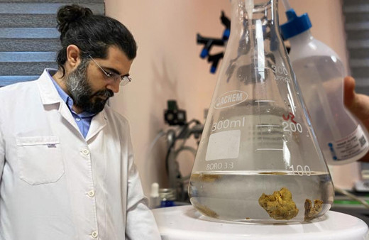 Profesör üretmeyi başardı Düzce'de taleplere yetişemiyor! Fiyatı duyan şaştı kaldı