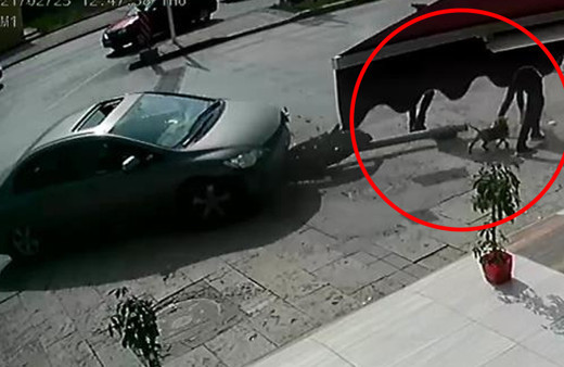 Denizli'de korkunç kaza! Fren yerine gaza bastı yayaları altına aldı