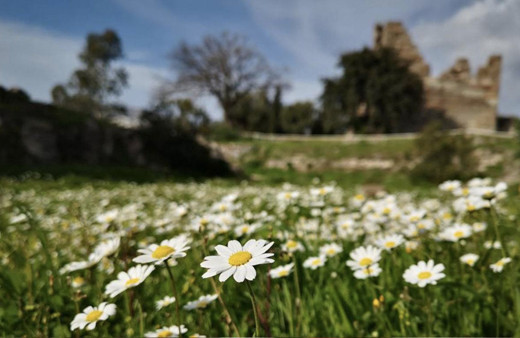 Cemre düştü mü 2. cemre ne zaman nereye düşer?