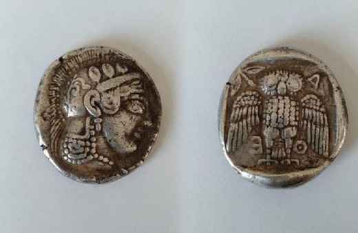 Dünyada sadece 42 tane var! Muğla'da operasyonda bulundu