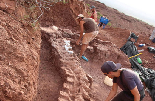 Arjantin'de en eski dinozor topluluğuna ait fosiller bulundu