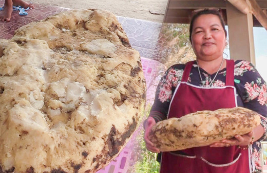 Sahilde buldu görenlerin midesi bulandı! Fiyatını duyan şaştı kaldı