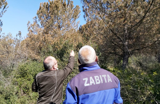Kocaeli'de ağaçların rengi değişti! Ekipler alarma geçti