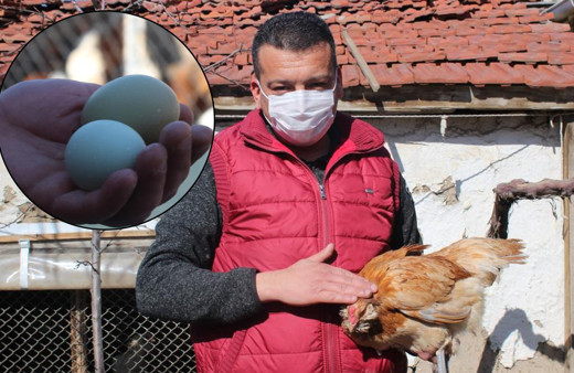 Eskişehir'de renkli yumurtaları gören inanamadı! Sebebi ise bakın ne