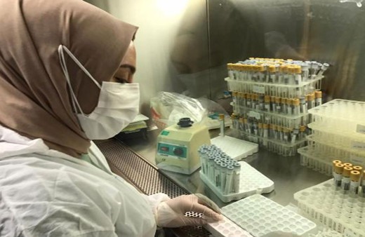 ‘Karadeniz mutasyonu' için bilimsel araştırma başlatıldı! 5 il mercek altında