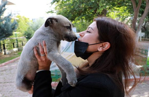 Koronavirüste mutant uyarısı: İnsandan hayvana bulaşmayacağının garantisi yok