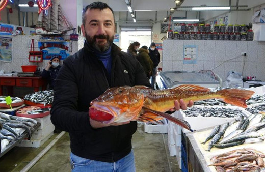 Uzun süredir görülmemişti! Trabzon'da ortaya çıktı gören şaştı kaldı