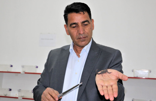 Urfa'da akrep çiftliği kurdu zehirinin litresini 10 milyon dolardan satıyor
