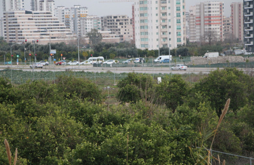 Bilim insanı uyardı! Yol kenarında büyük tehlike