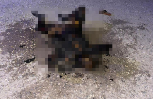 Şanlıurfa'da vahşet! Yol kenarında yakılmış kadın cesedi bulundu