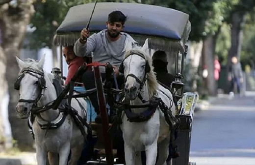 Faytonlar kalktı ama yinede atların çilesi bitmedi