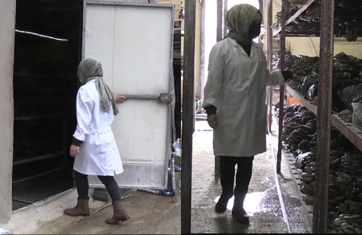 Trabzon'da bu iş için mühendisliği bıraktı! Tek tuşla ayarlıyor 24 saat boyunca...