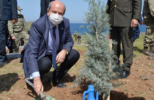 Ersin Tatar, Erenköy'de fidan dikme etkinliğine katıldı