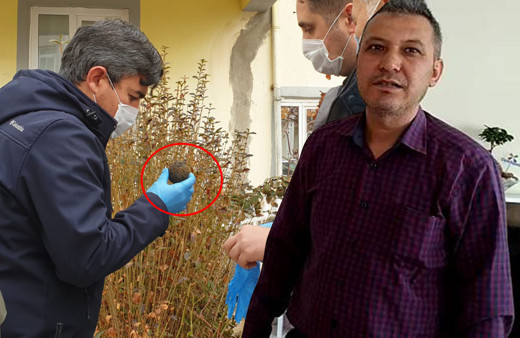 Çorum'da sobaya atarken kömürlerin arasında buldu! Şaşkına döndü