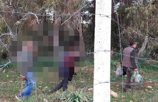 Antalya'da hayatının hatasını yaptılar! 160 bin TL ceza yediler