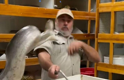 Dev piton yılanı yüzüne bir anda saldırdı dehşet anları kamerada