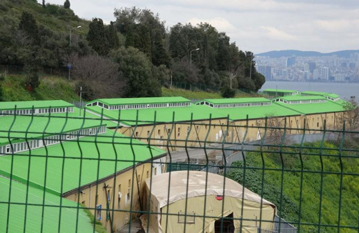 İBB Adalar’dan topladığı 100’e yakın atı ahıra hapsetti