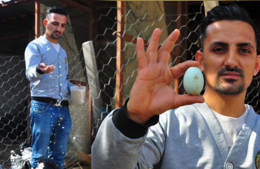 Amerika'dan Manisa'ya getirtti hayatını değişti! Paraya para demiyor