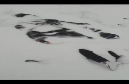 Yürek sızlatan olay! Lübnan'da karlar içinde donarak ölen 2'si çocuk 4 Suriyelinin cesedi bulundu