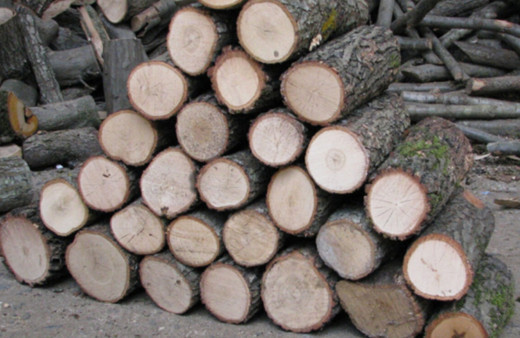 İzmir'de 'oğlun odun aldı' deyip yaşlı kadına kabusu yaşattılar! Yakayı ele verdiler