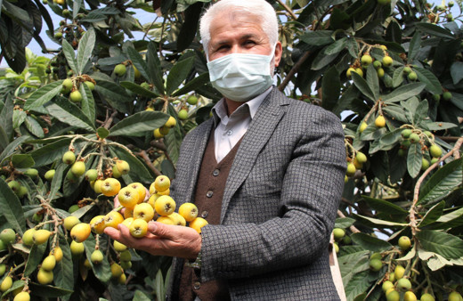 Mersin'de kilosu 30 liraya satılıyor! 3 bin ton üretiliyor